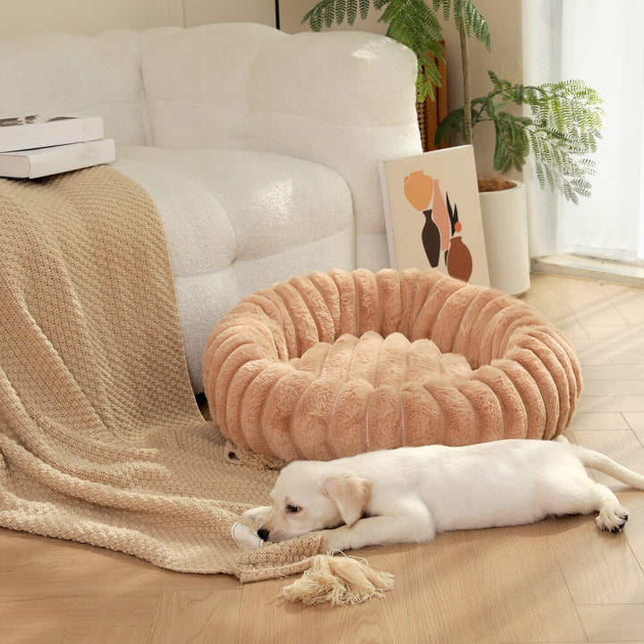 Ultraweiches Donut-Plüschbett für Hunde und Katzen, ein warmer Rückzugsort.