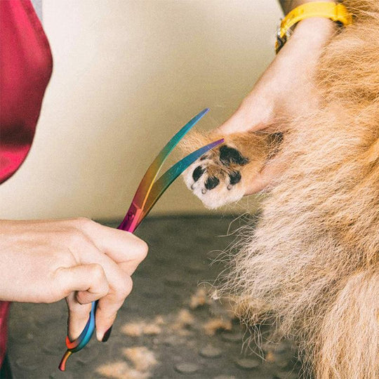 Ergonomisch geformte Griffe der Hundeschere, bieten Komfort und Kontrolle bei der Fellpflege.