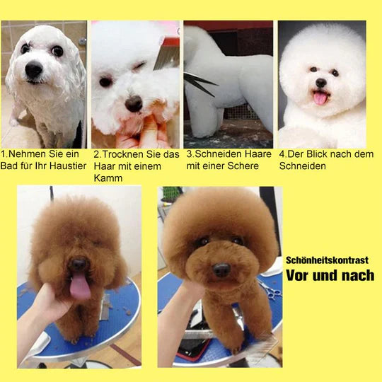 Effektive Hundeschere zur Fellpflege, ermöglicht einfaches und sicheres Kürzen des Haustierfells.