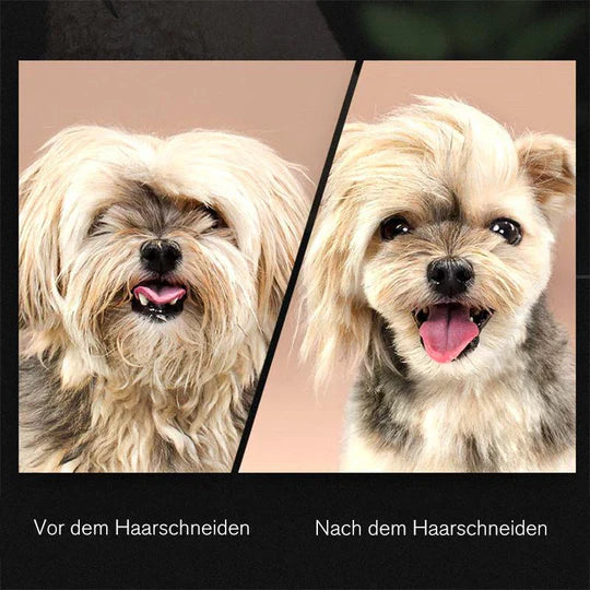 Must-have Fellpflegeschere für Hunde: sicher, präzise und sanft für ein gepflegtes Haustier.