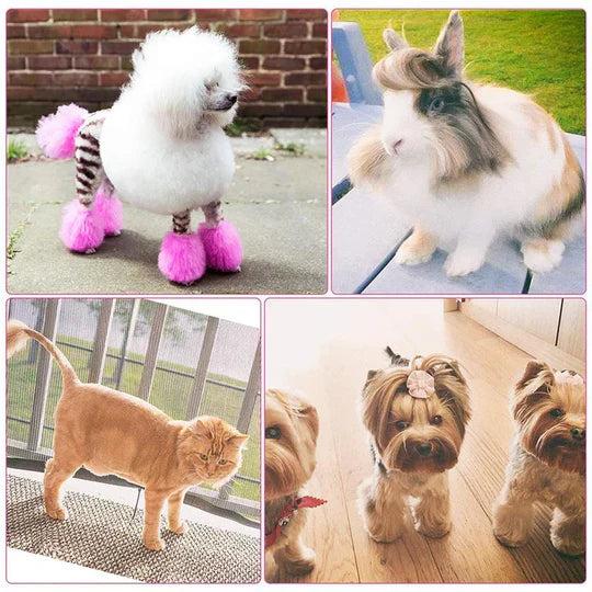 Langlebige Edelstahl-Grooming-Schere für Hunde, ideal für hygienische und exakte Fellpflege.