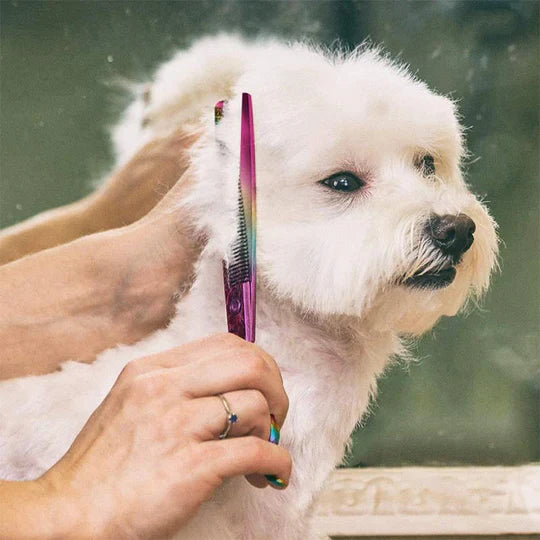 Nahaufnahme der scharfen Klingen einer Fellpflegeschere für Hunde, für präzises Trimmen des Fells.