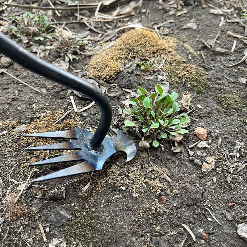 Person benutzt ergonomischen Unkrautentferner zum Jäten von Unkraut auf einem Gartenbeet.