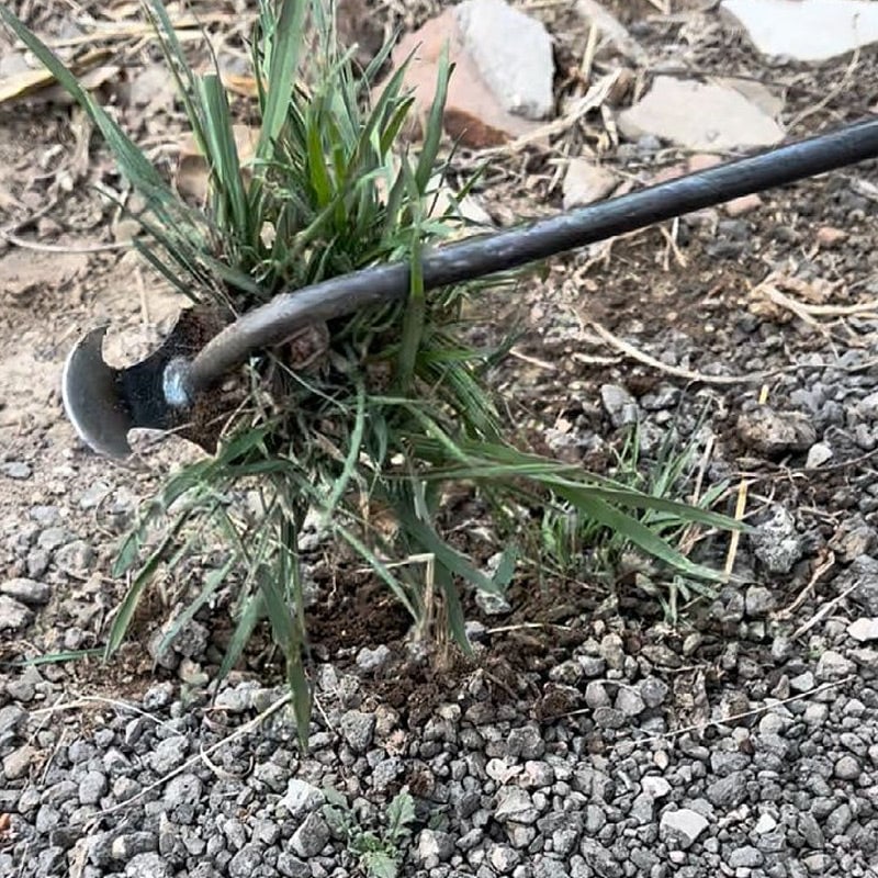 Vielseitiges Gartenwerkzeug: Unkrautentferner aus Metall für Gartenhilfe und Beetpflege.