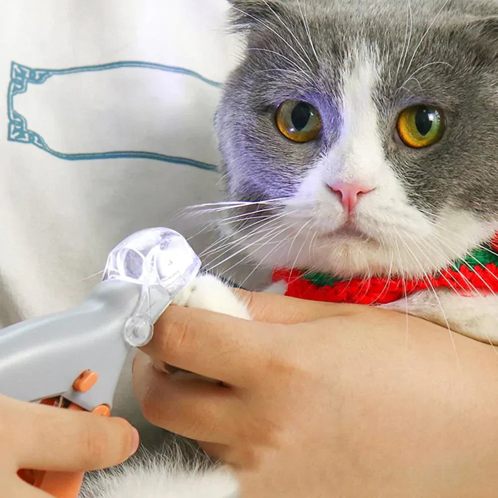 Professioneller Haustier-Krallenpflege-Scher für Hunde & Katzen, ausgestattet mit LED-Licht für bessere Sicht.