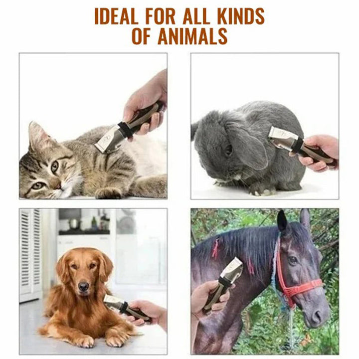 Nahaufnahme des eleganten, goldfarbenen Hundetrimmers, bereit für die professionelle Tierhaarpflege.