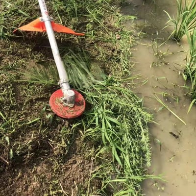 Vielseitiges Gartenwerkzeug: Unkrautscheibe für Freischneider, ideal für Rasenpflege & Moosentfernung.