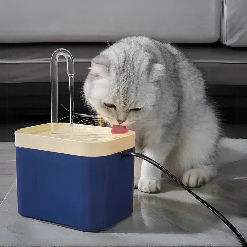 PureFlow automatische Katzenwasserfontäne: stilvoller, leiser Trinkbrunnen für gesunde Haustiere.