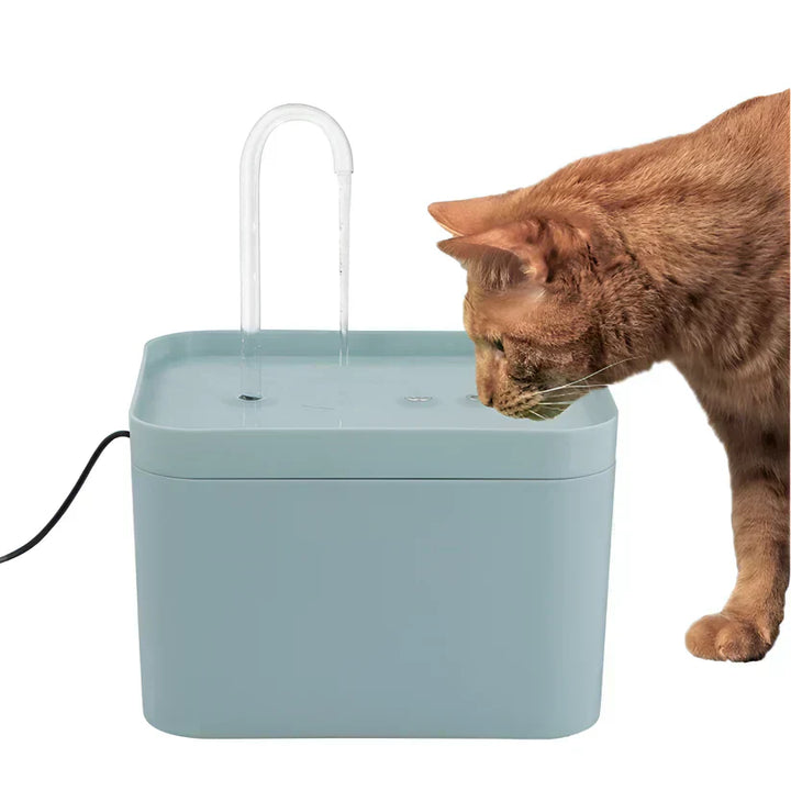 PureFlow Trinkbrunnen: fortschrittliche Filtrationstechnologie für klares, schmackhaftes Wasser für Ihre Katze.