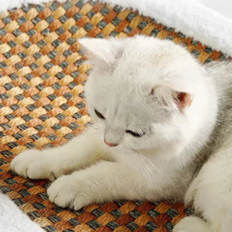 Bequemes Katzen Kratzbett von PurrLuxe mit Sisal-Kratzfläche, schützt Möbel und bietet gemütlichen Ruheplatz.