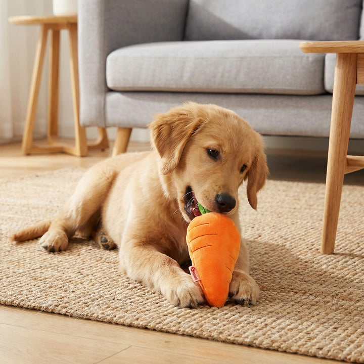 Quietschende Karotte Hundespielzeug; ideales Kauspielzeug für Stressabbau & Aktivität.