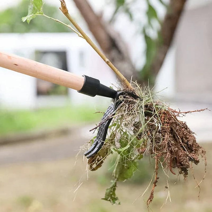 Praktischer Wurzelentferner als rückenschonendes Gartengerät. Müheloses Unkrautjäten im Garten.