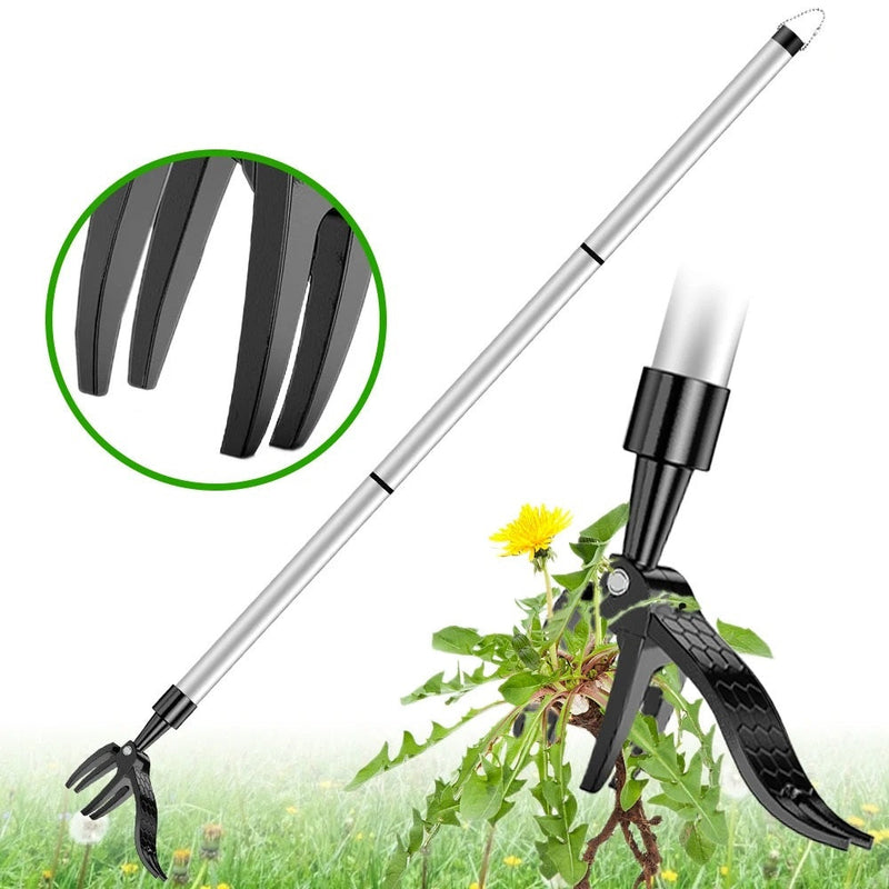 Robuster Unkrautentferner, eine effektive Gartenhilfe. Ermöglicht rückenschonendes Jäten aller Unkräuter.