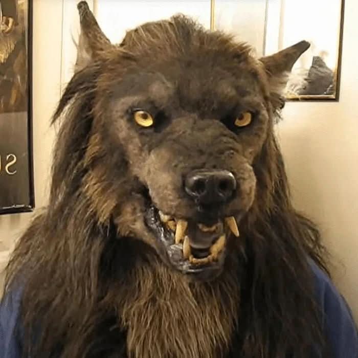 Gruselige Werwolf-Maske für Halloween. Realistische Latex-Verkleidung, ideal für Cosplay & Horror-Party.