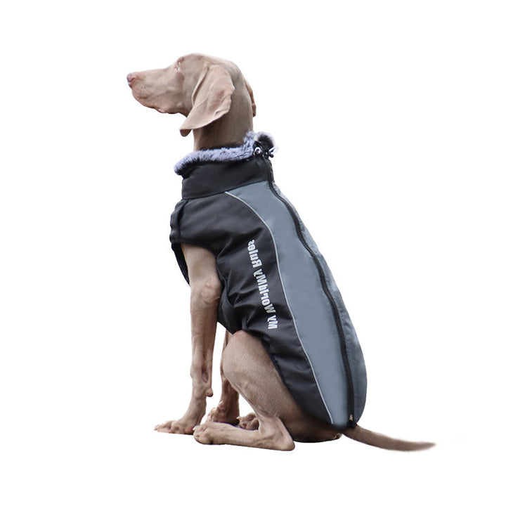 Reflektierende Hundejacke GlowPaw™ mit integriertem Geschirr für optimale Sicherheit & Sichtbarkeit im Dunkeln.