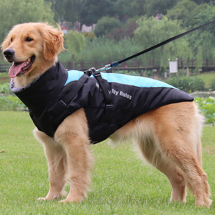Wasserdichte Winterjacke für Hunde, reflektierend, mit robustem Hundegeschirr für sichere Outdoor-Abenteuer.