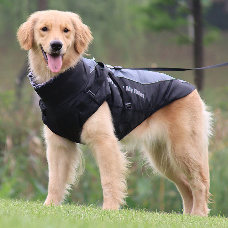 Sichere Hundebekleidung: Reflektierender Hundemantel GlowPaw™ mit fest integriertem Geschirr für Spaziergänge.