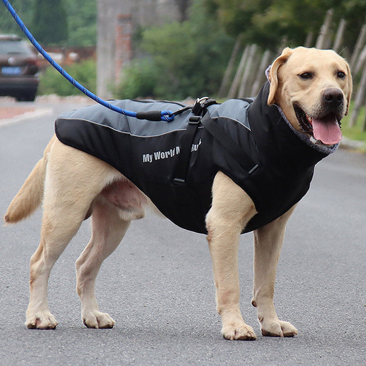 Hochsichtbare Hundejacke mit Geschirr; ideal für Abendspaziergänge und schlechte Wetterbedingungen.