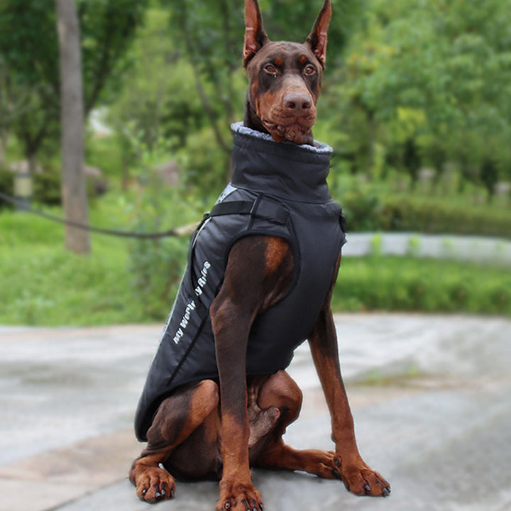 Hundemantel GlowPaw™: Wasserabweisend, reflektierend und mit integriertem Sicherheitsgeschirr für den Hund.