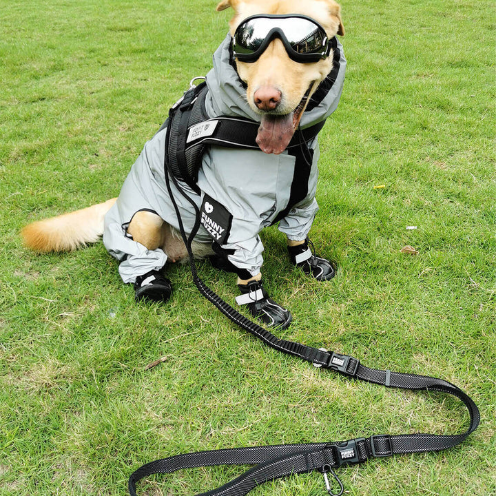Hochwertiger Hunde-Regenmantel, reflektierend, wasserdicht, für Sicherheit & Komfort bei jedem Wetter.