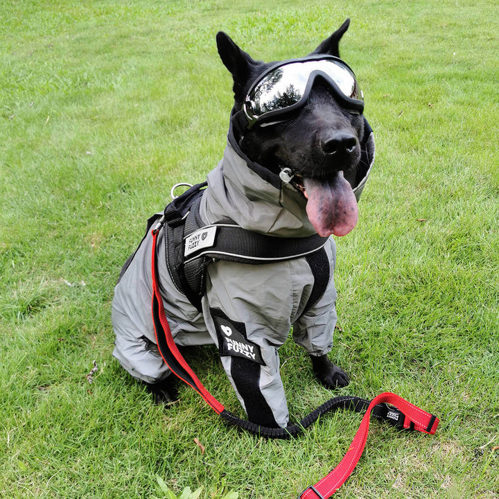 Leicht anzulegender, reflektierender Hunde-Regenmantel. Wasserdicht für umfassenden Wetterschutz.