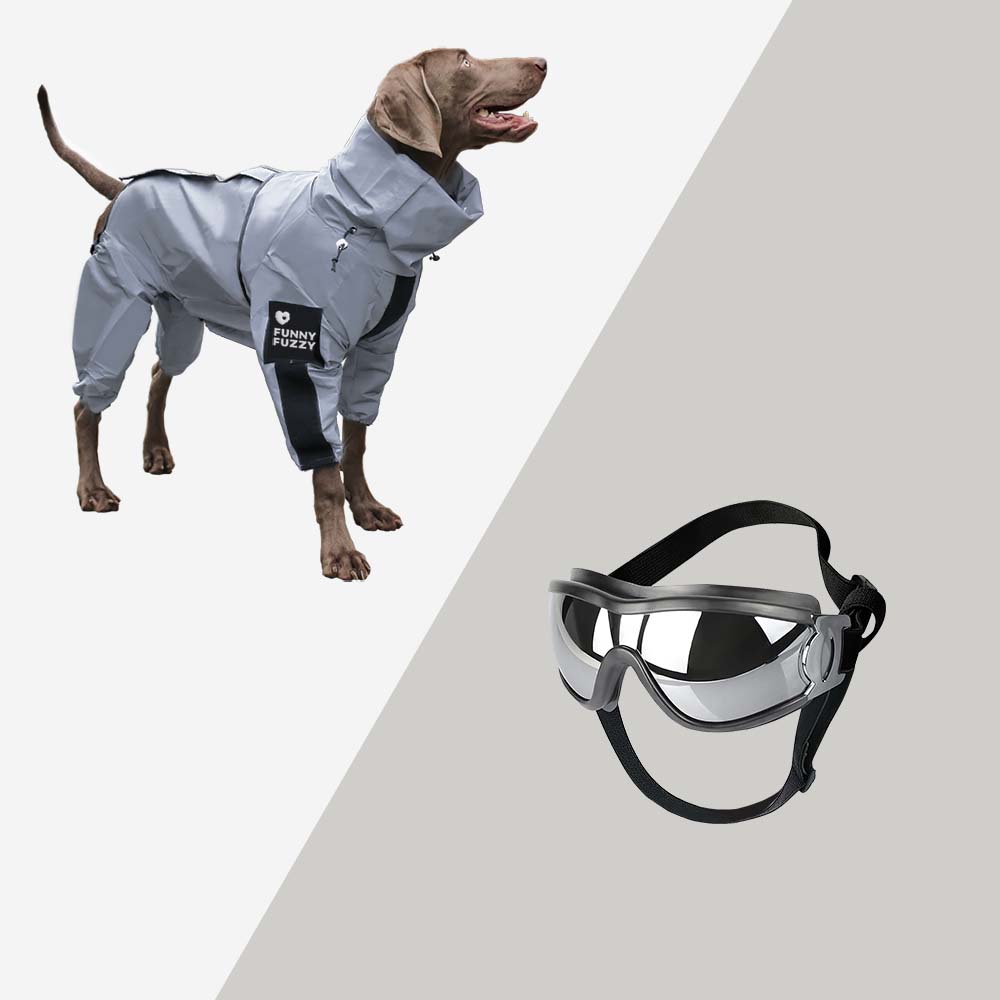 Funktionaler, reflektierender Hunde-Regenmantel. Wasserdichte Hundebekleidung für mehr Sicherheit draußen.