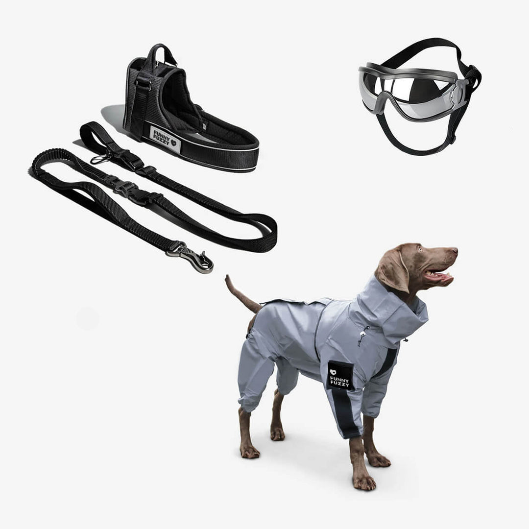 Hundezubehör: Reflektierender Hunde-Regenmantel, wasserdicht und atmungsaktiv für Komfort im Regen.