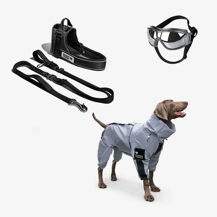 Hundezubehör: Reflektierender Hunde-Regenmantel, wasserdicht und atmungsaktiv für Komfort im Regen.