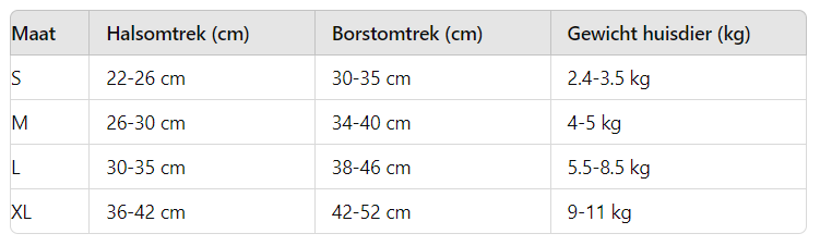 Kleiner Hund läuft fröhlich mit sicherem reflektierendem AirFlex Hundegeschirr & Leine. Komfortables Haustierzubehör.