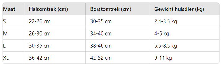 Kleiner Hund läuft fröhlich mit sicherem reflektierendem AirFlex Hundegeschirr & Leine. Komfortables Haustierzubehör.