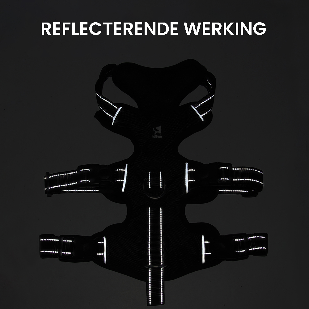 Hund trägt reflektierendes Anti-Zieh Geschirr. Perfektes Hundezubehör für sicheres Gassigehen.