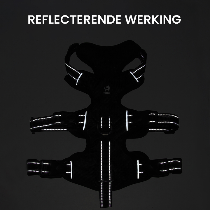 Hund trägt reflektierendes Anti-Zieh Geschirr. Perfektes Hundezubehör für sicheres Gassigehen.