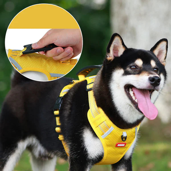 Reflektierendes Anti-Zug Hundegeschirr in Schwarz für sichere Spaziergänge und mehr Kontrolle.