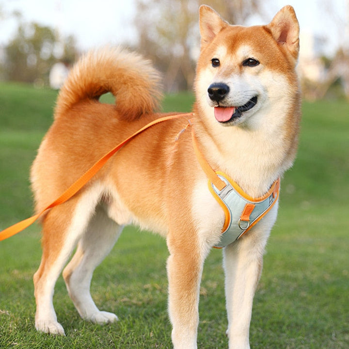 Verstellbares, reflektierendes Hundegeschirr für kleine und mittelgroße Hunde; atmungsaktiv und mit No-Pull-Effekt.