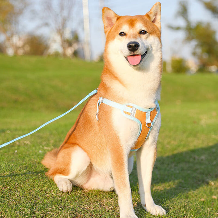 Bequemes reflektierendes No-Pull Hundegeschirr für sichere Spaziergänge, atmungsaktiv & perfekt für Welpen und kleine Hunde.