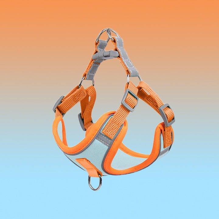 Komfortables, atmungsaktives Hundegeschirr aus Nylon für angenehme Spaziergänge; No-Pull-Design für Kontrolle.