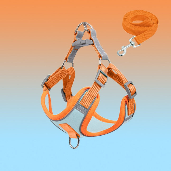 Atmungsaktives, reflektierendes No-Pull Hundegeschirr aus robustem Nylon für sichere und entspannte Outdoor-Abenteuer.