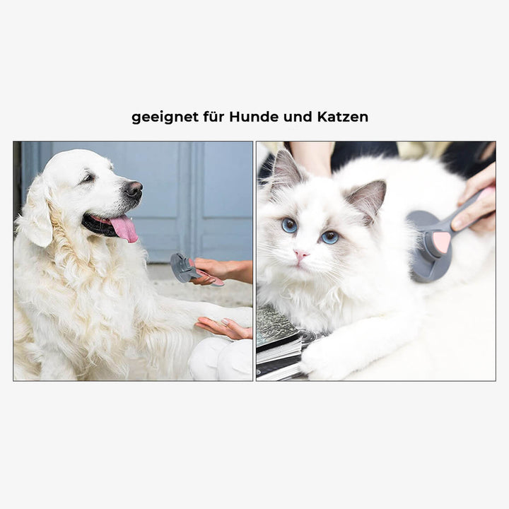 Doppelseitige Fellpflegebürste für Hunde & Katzen, entfernt lose Tierhaare und fördert glänzendes Fell.