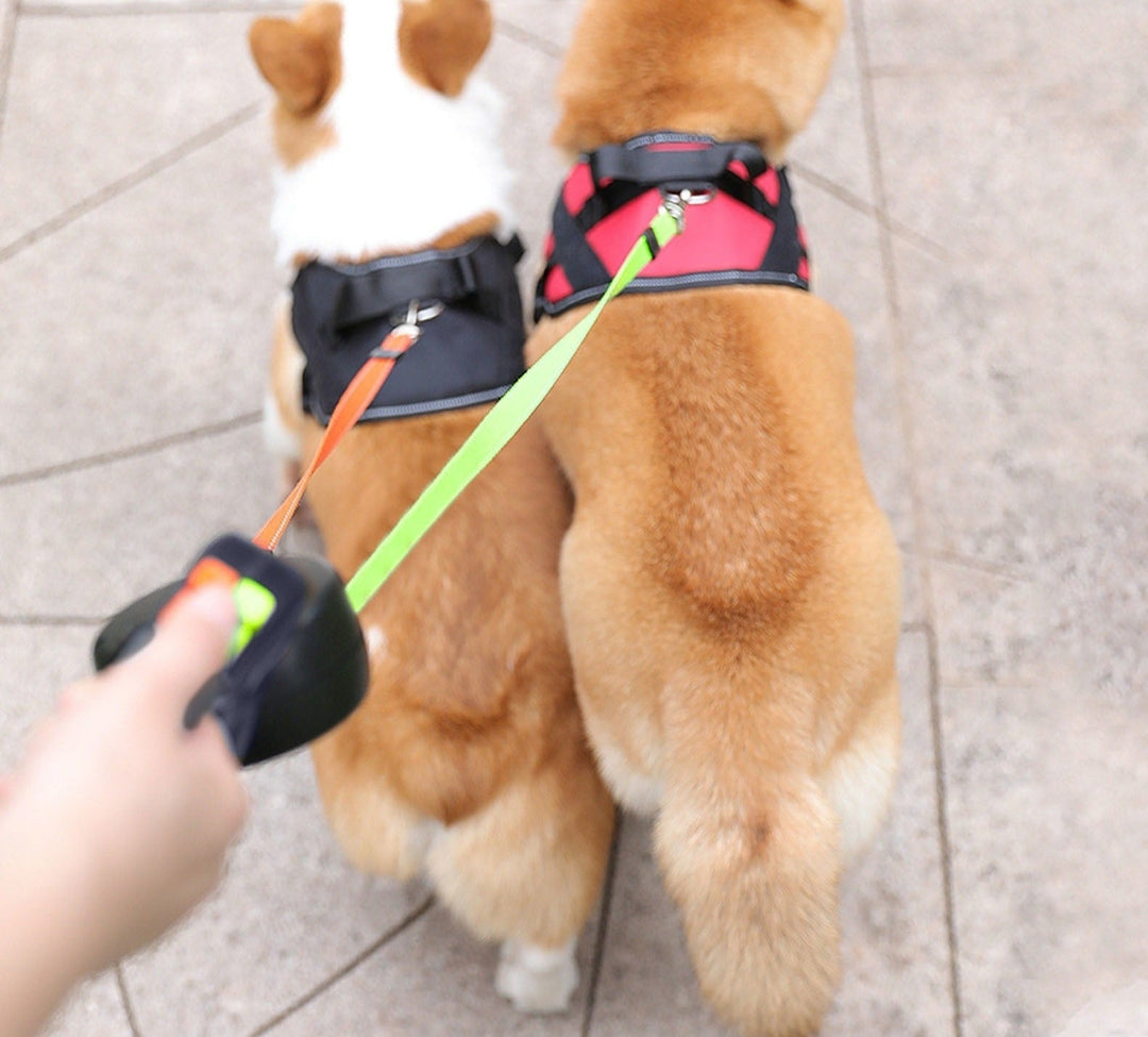 Verhedderungsfreie Doppelhundeleine für zwei Hunde. Komfortabel und sicher beim Gassi gehen mit zwei Haustieren.