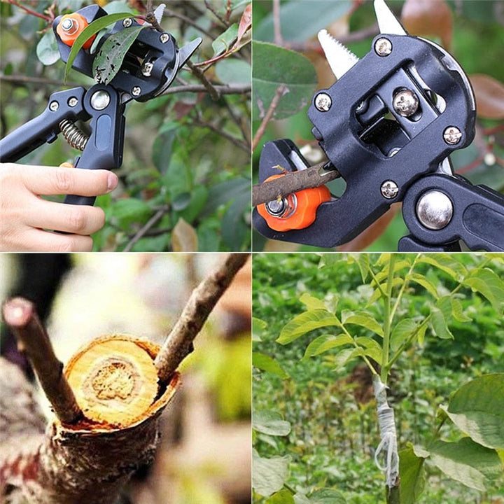 Leistungsstarke Baumschere schneidet mühelos Äste. Essentielles Gartengerät für effiziente Gartenarbeit und Pflege.