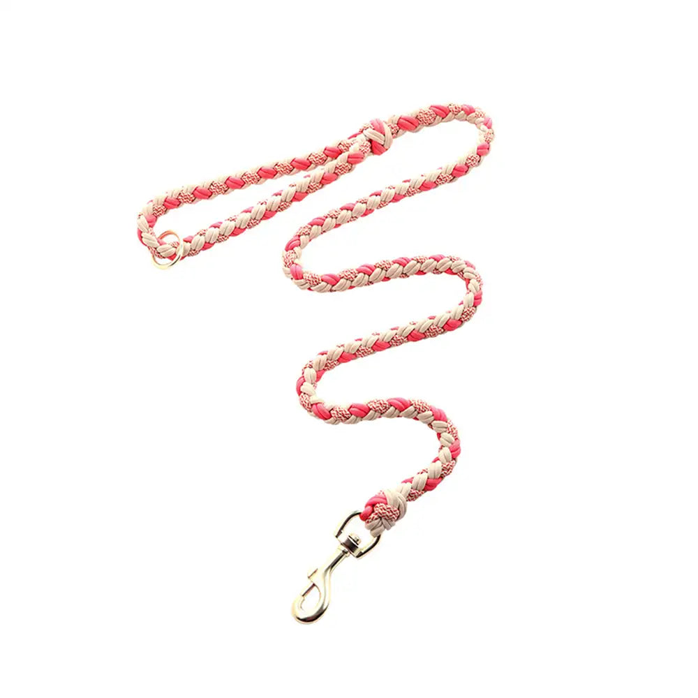 Detailansicht der robusten Nylon-Hundeleine mit starkem Karabiner, geeignet für große & mittelgroße Hunde.