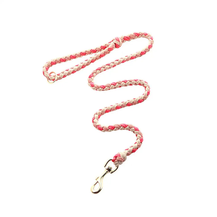 Detailansicht der robusten Nylon-Hundeleine mit starkem Karabiner, geeignet für große & mittelgroße Hunde.