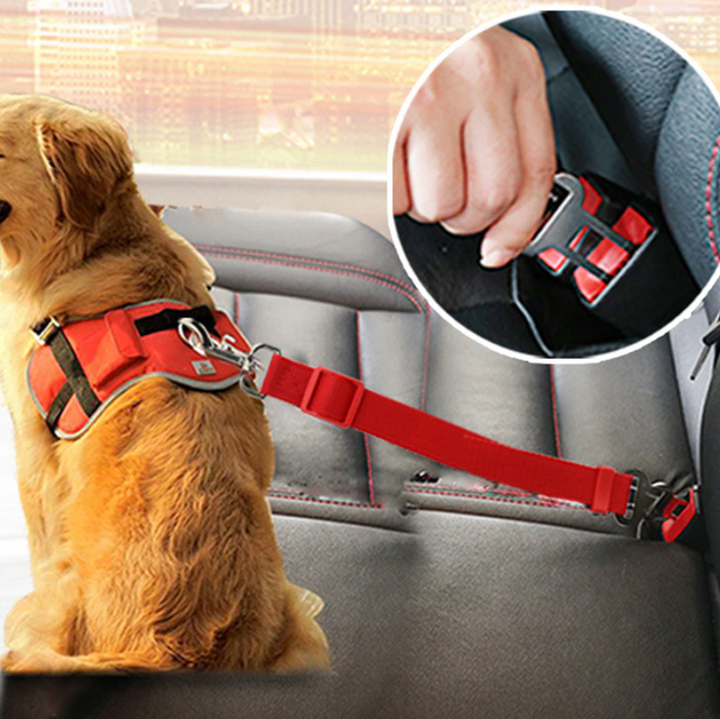 Praktische Hunde-Autoleine: Einfache Befestigung für mehr Sicherheit und Ruhe bei Autofahrten.