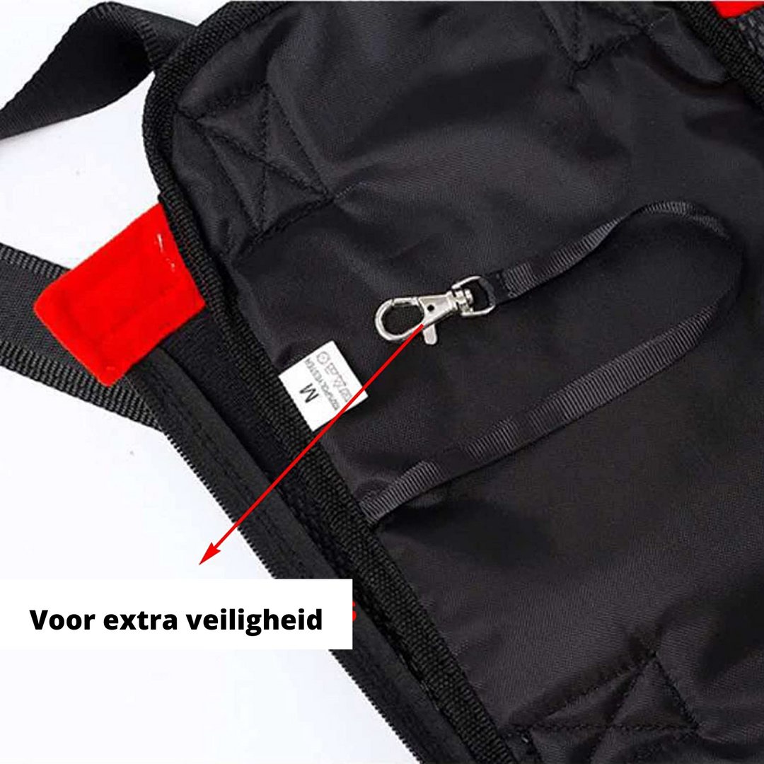 Geräumige Transportbox mit Katze; sichere Tiertrage für Katzen & kleine Haustiere, mit Lüftungsfenstern.