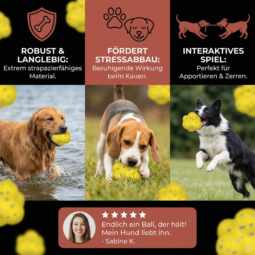 Interaktiver Springball für Hunde fördert Spiel & Stressabbau; langlebiges Hundespielzeug.