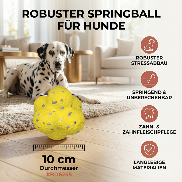 Hund spielt begeistert mit dem robusten Springball; perfektes, bissfestes Hundespielzeug zum Stressabbau.
