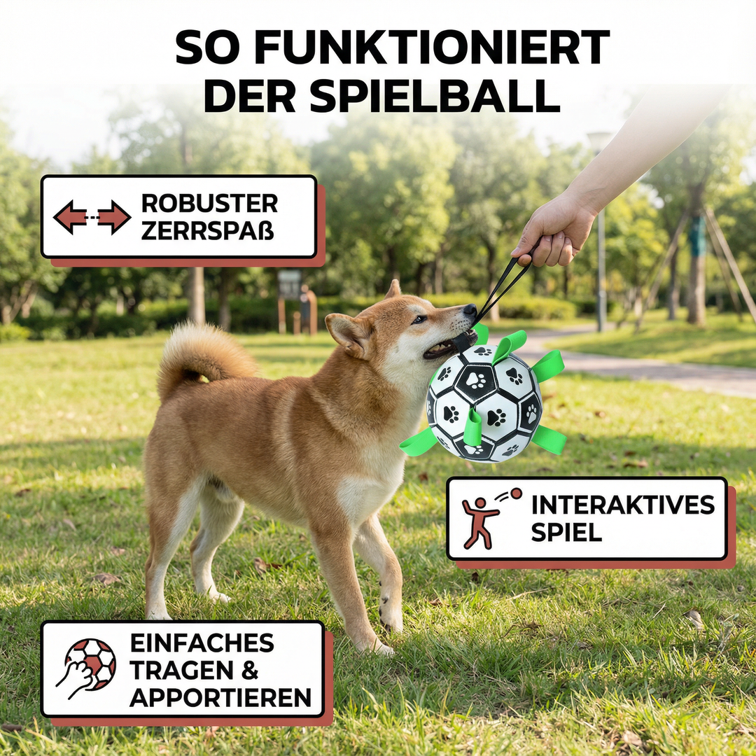 Bissfester Hundeball mit stabilen Zuggriffen für anspruchsvolle Zerrspiele und interaktives Training.