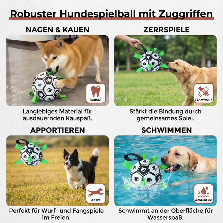 Langlebiger Hundeball mit Zuggriffen für aktives Apportieren, bissfestes Spielen und viel Hundespaß.