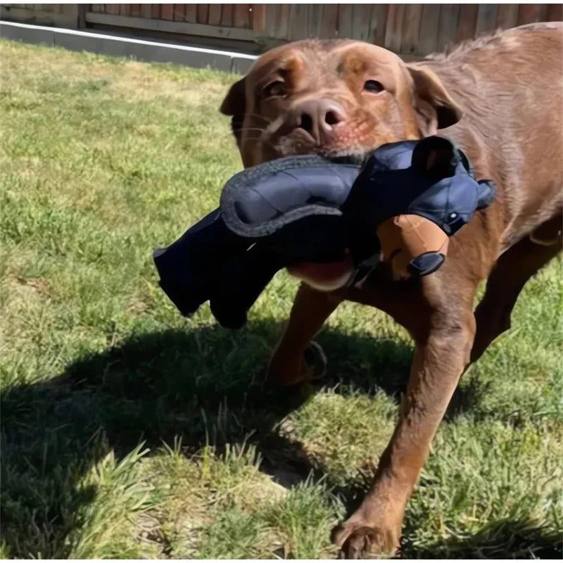 Robuster Plüsch Bär für Hunde. Langlebiges Quietsch-Spielzeug, ideal zum Kauen & Spielen.