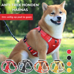 Rot